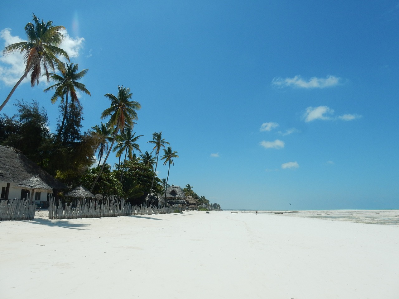 beach, palm trees, sea, holiday, sun, tropical, relax, quiet, ocean, peaceful, coast, summer, island, zanzibar, blue, landscape, travel, sand, nature, sandy beach, holiday resort, blue sky, zanzibar, zanzibar, zanzibar, zanzibar, zanzibar